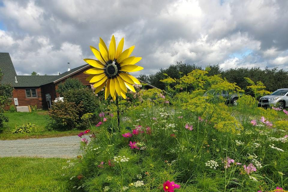 Bee-Friendly Flowers