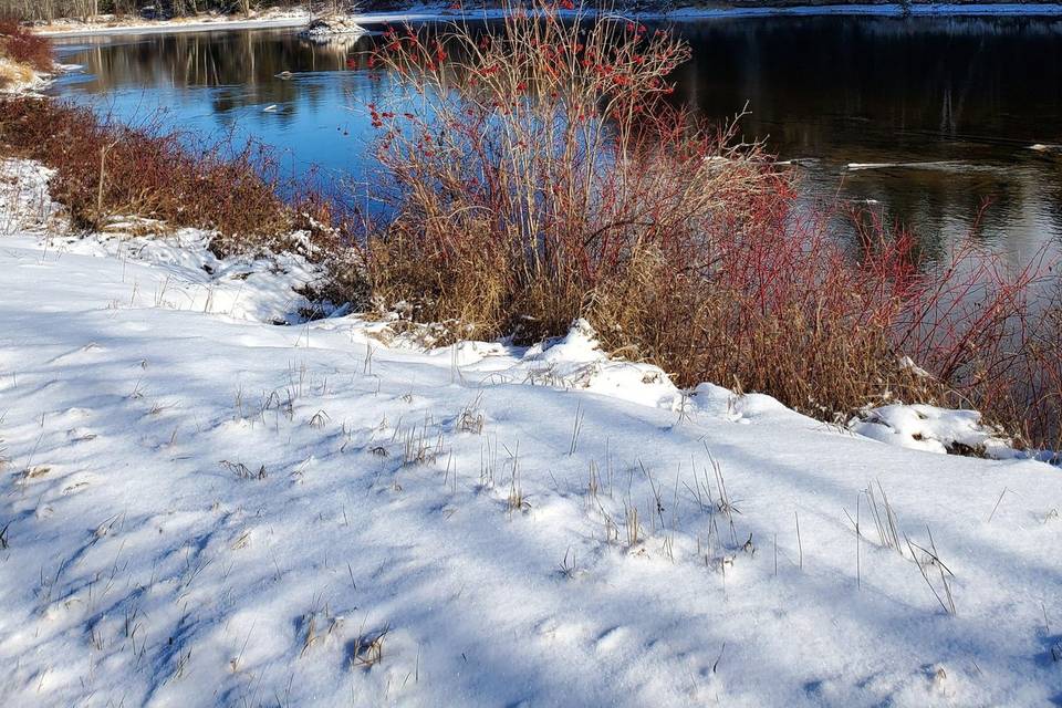 Winter Androscoggin