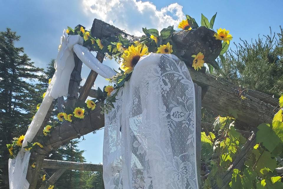 Sunflowers on the Arbor