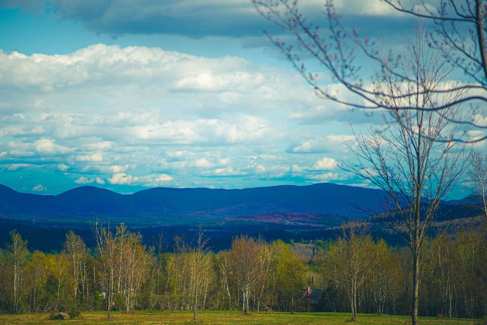 Springtime Mountains