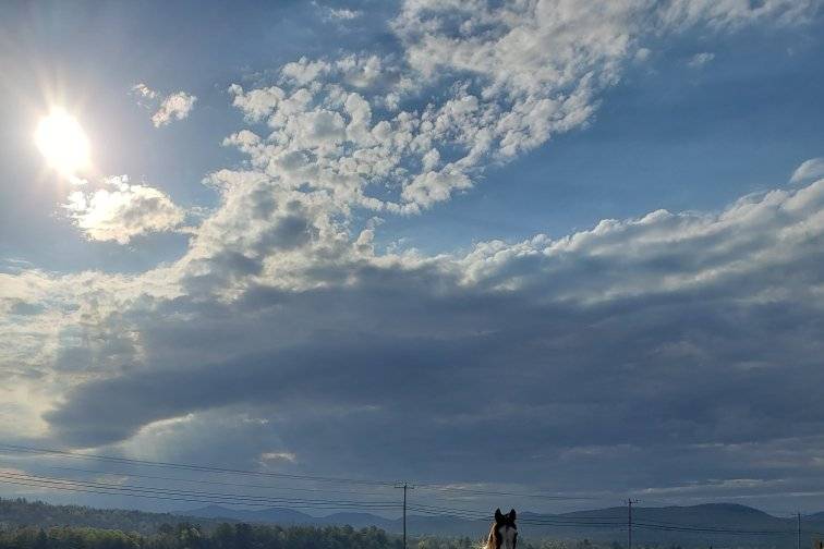 Morning Greeting