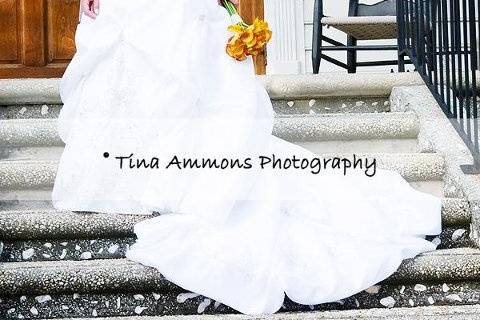 Tina Ammons Photography