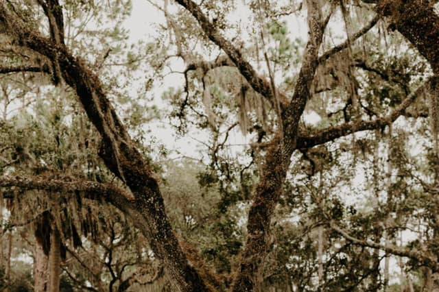 Crooked River Ranch of Myakka