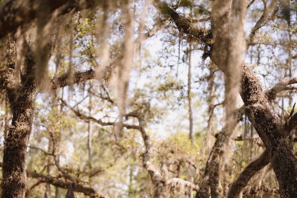 Crooked River Ranch of Myakka