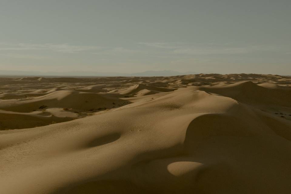 Imperial Sand Dunes Engagement