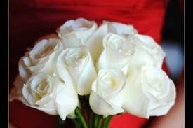 Pure Joy flowers