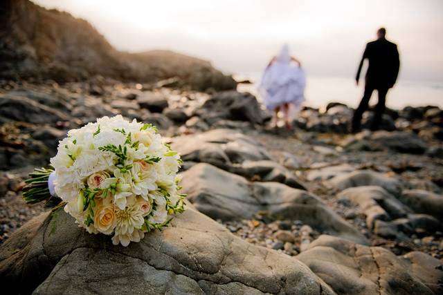 Elizabeth Baird Photography