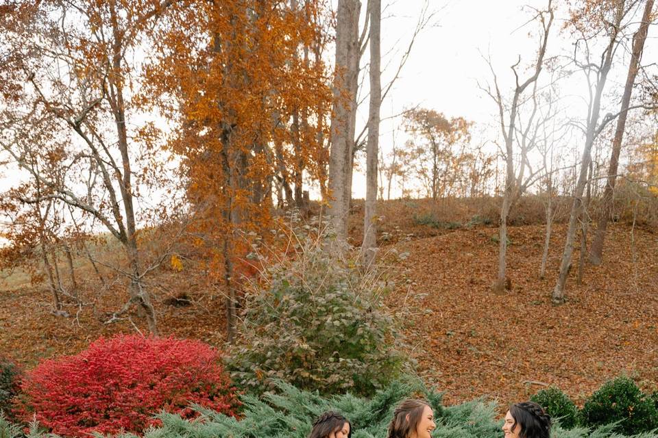 Sass Wedding