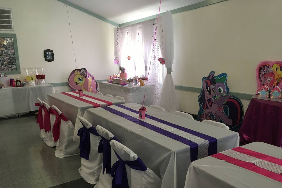 My Little Pony Theme Birthday Party!  (Hyattsville, MD)