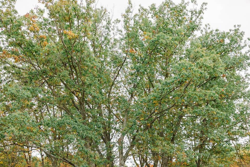 Dempsey Event Center