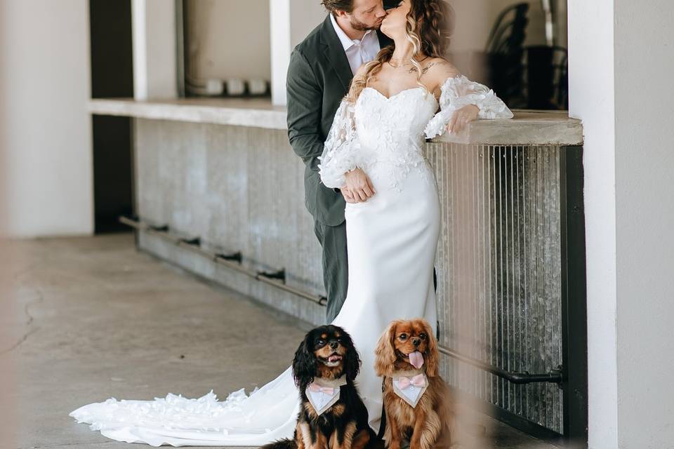 Portrait of Bride and Groom