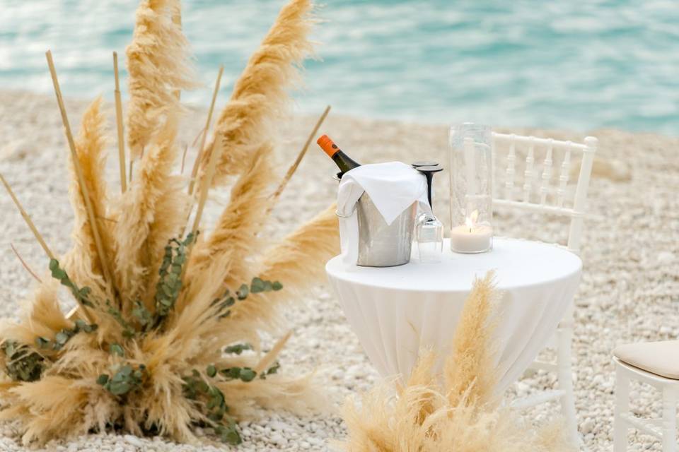 Beach proposal