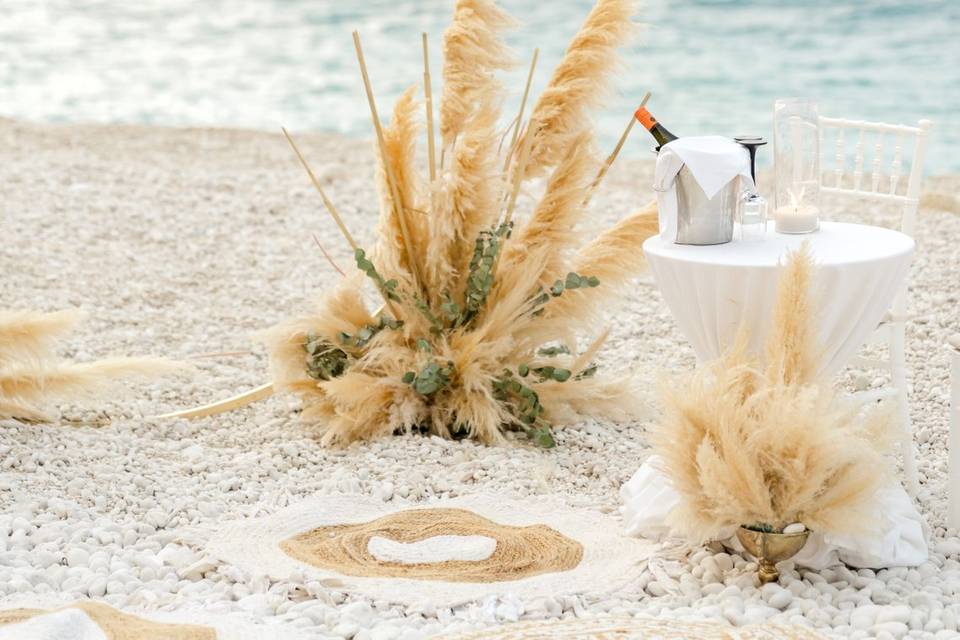 Beach proposal