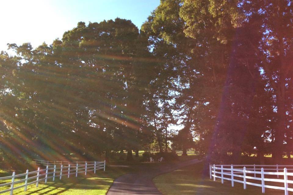 Barn Wedding Venue