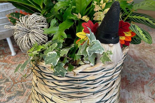 Garden gnome and foliage