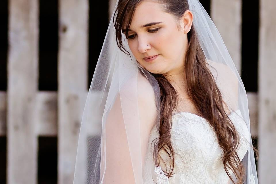 Backlit bride