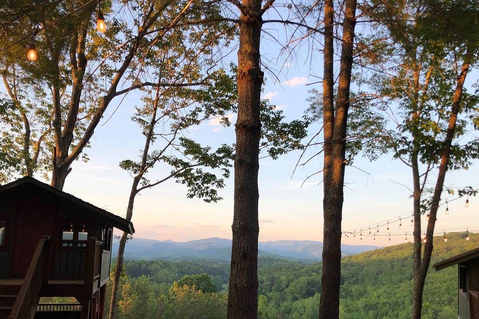 Treetop Cabins