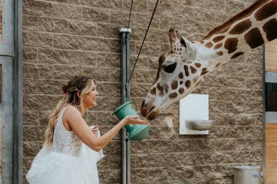 Bronx Zoo