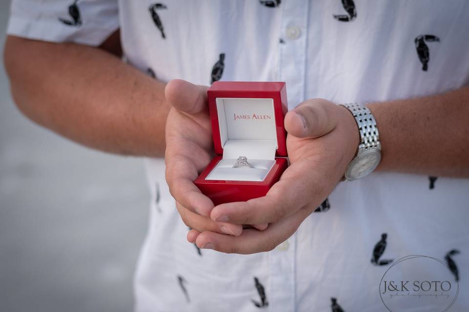 Surprise proposal