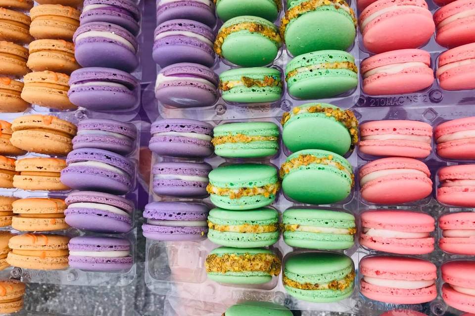 Macaron Variety