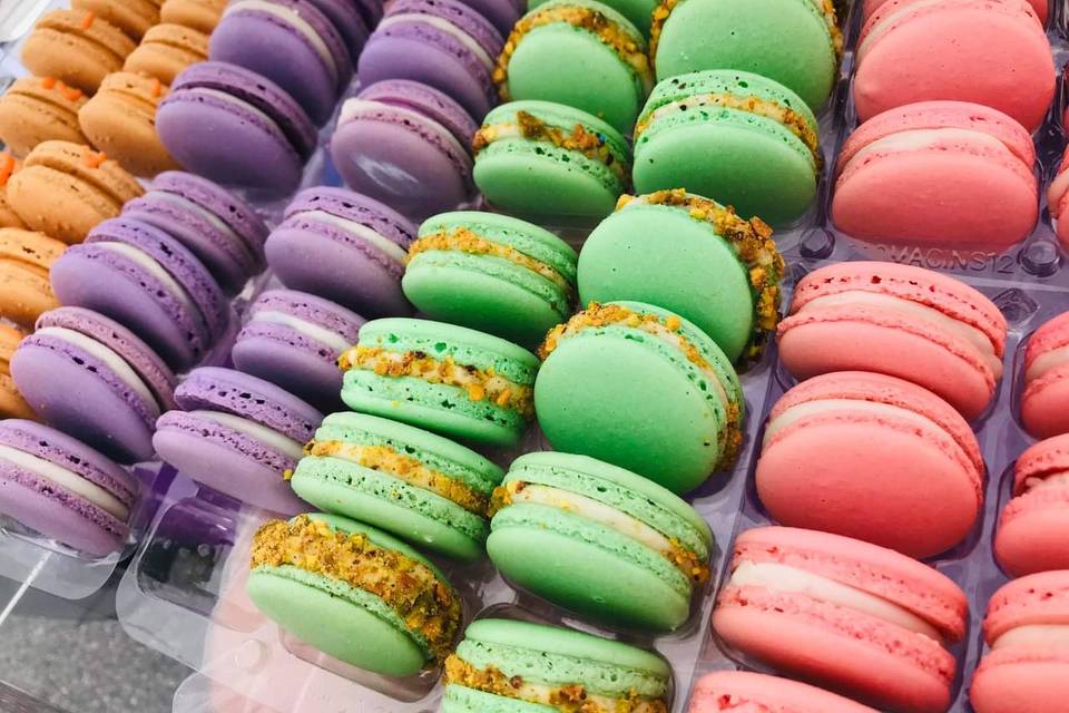 Macaron Variety