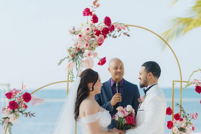 Beach Brides Lab