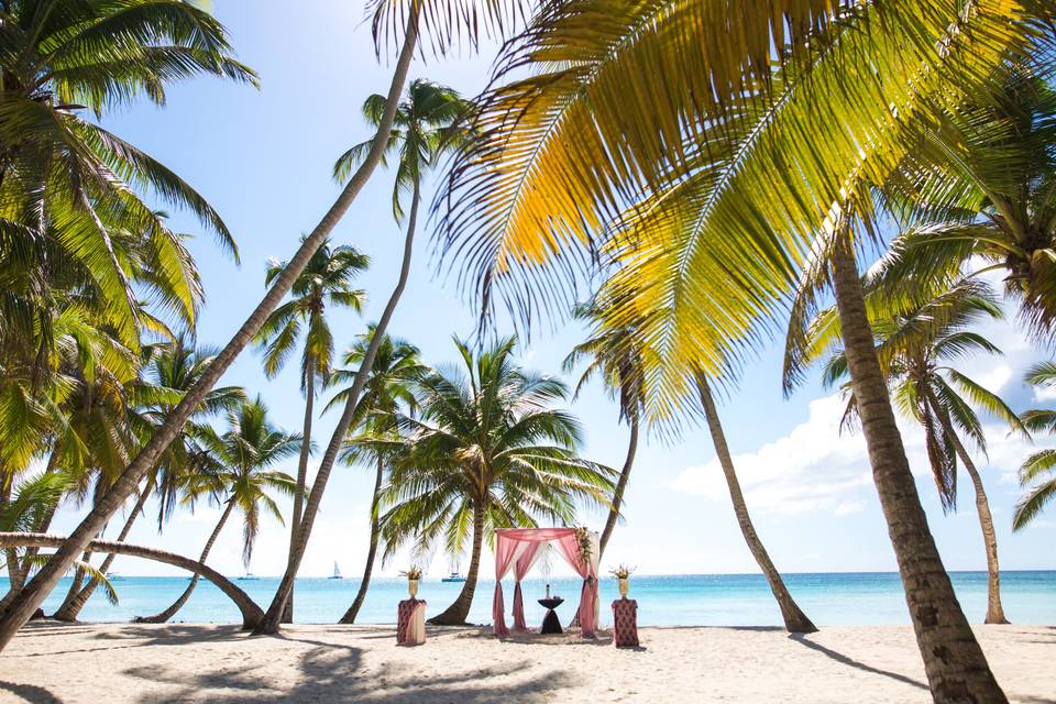 Beach Brides Lab