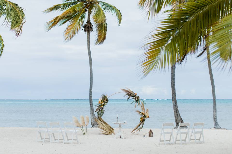 Beach Brides Lab