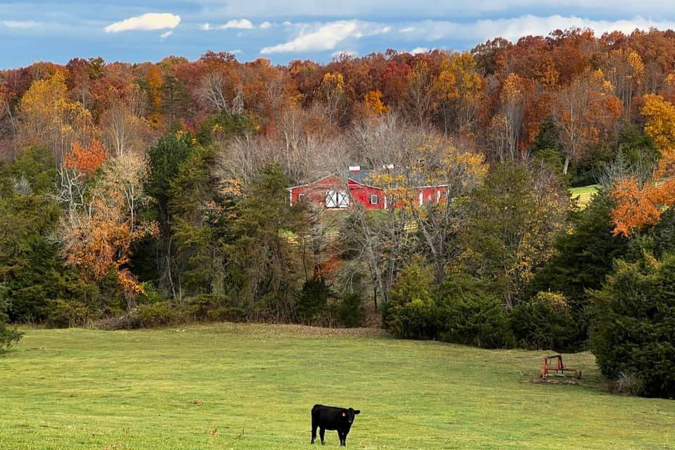 The Barn @ Spring Rose Lane