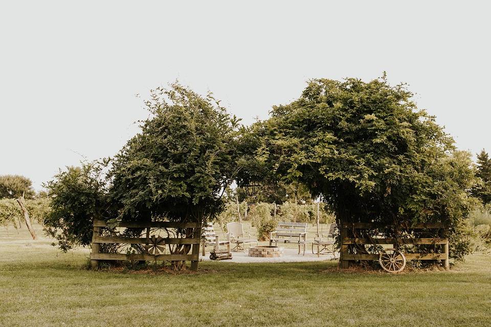 Wisteria arbor