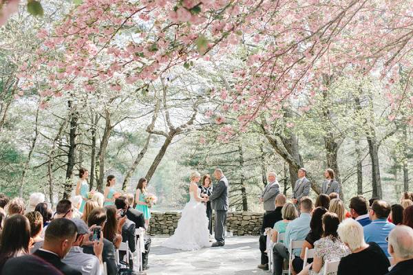 The Chimneys At Big Canoe Country Club Weddings Jasper GA   1456510930848 Ceremony Under Cherry Blossoms 600x450 