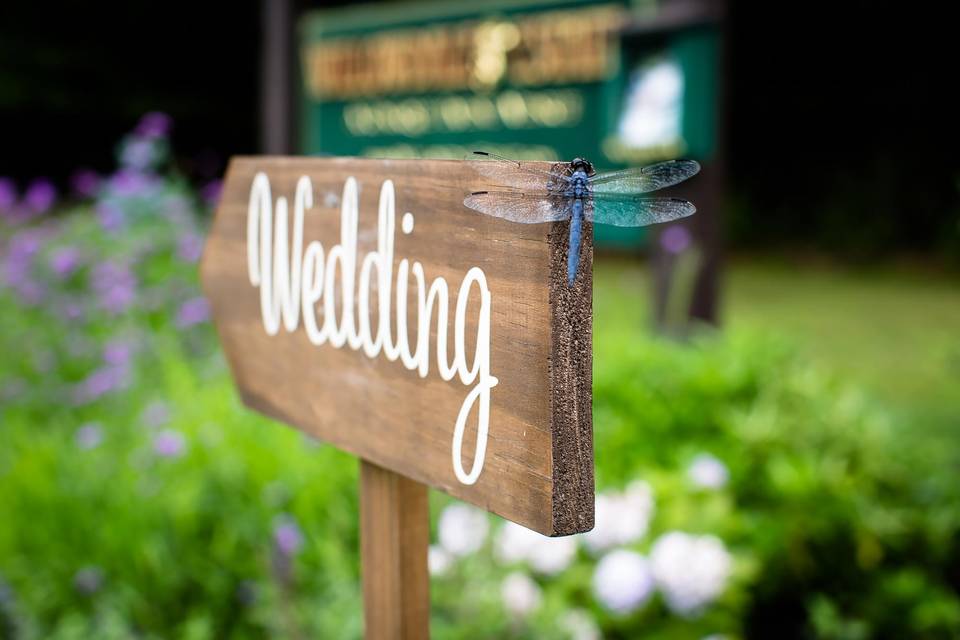 Dragonfly on Wedding Sign