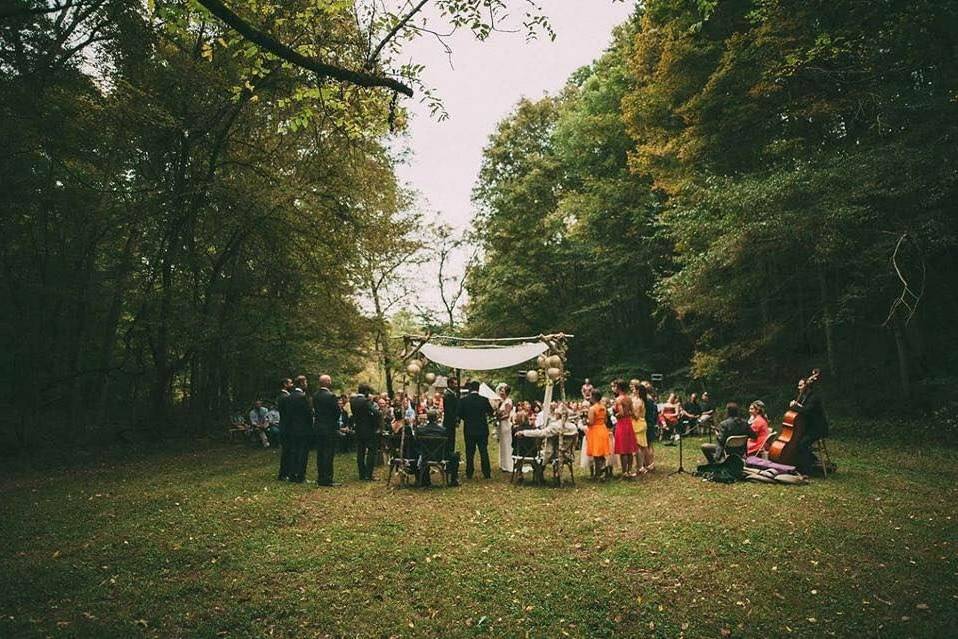 Forest wedding venue