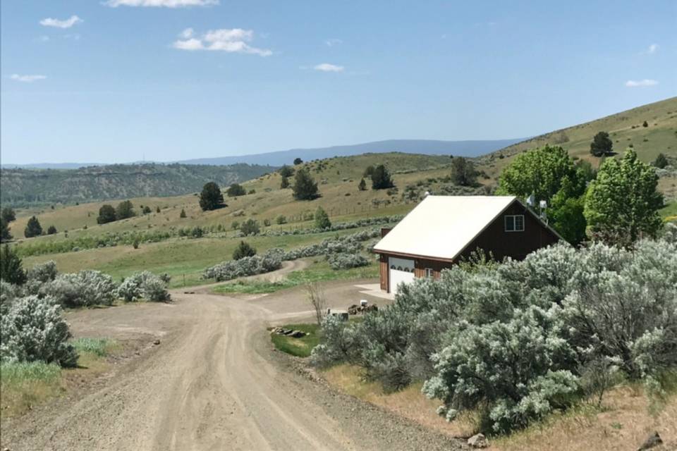 Nature's Hideaway Cabin views