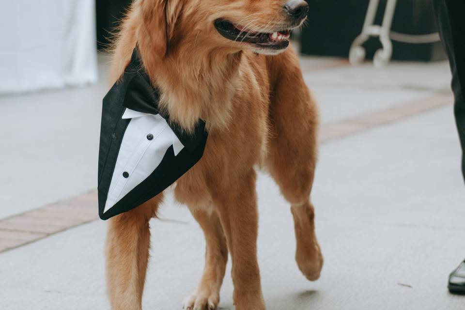 C + C Real Wedding Fall 2024