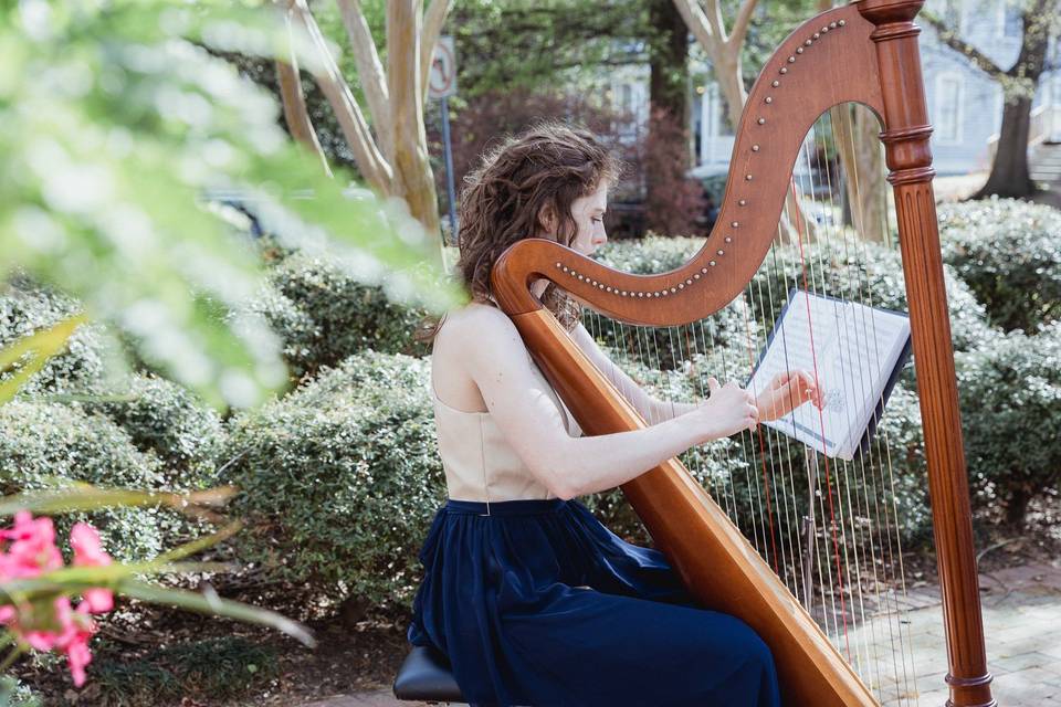 Harp in the garden