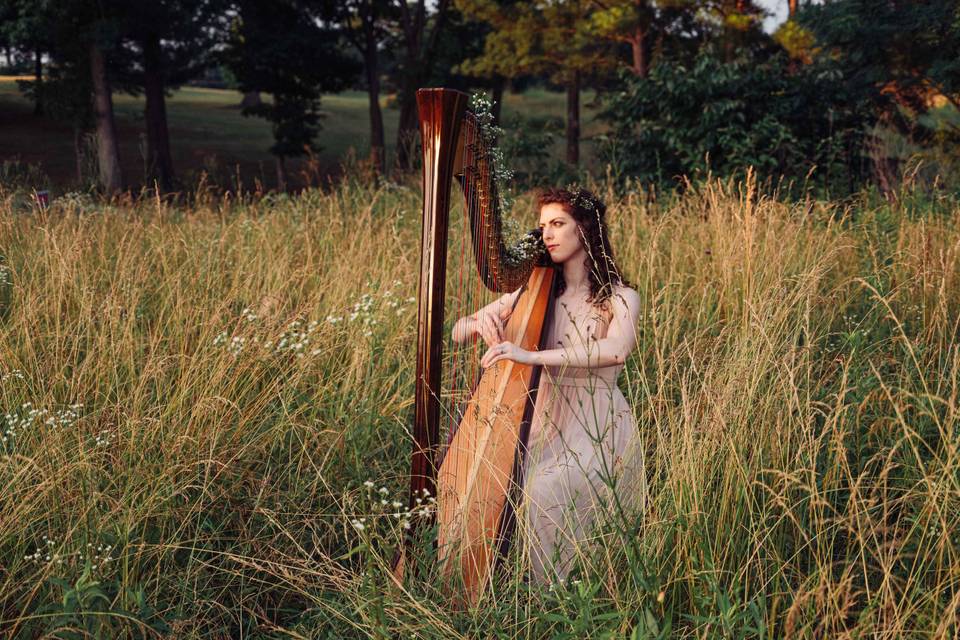 Sarah Cavaiani, Harpist