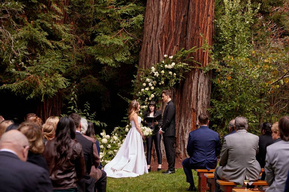 Redwood Grove ceremony site