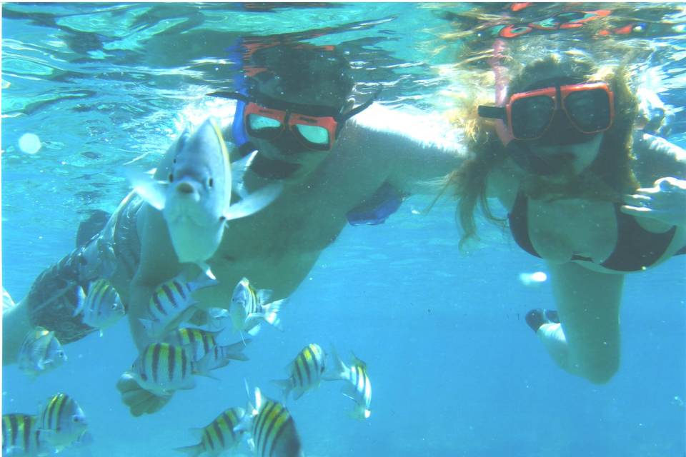 Snorkeling in Jamaica