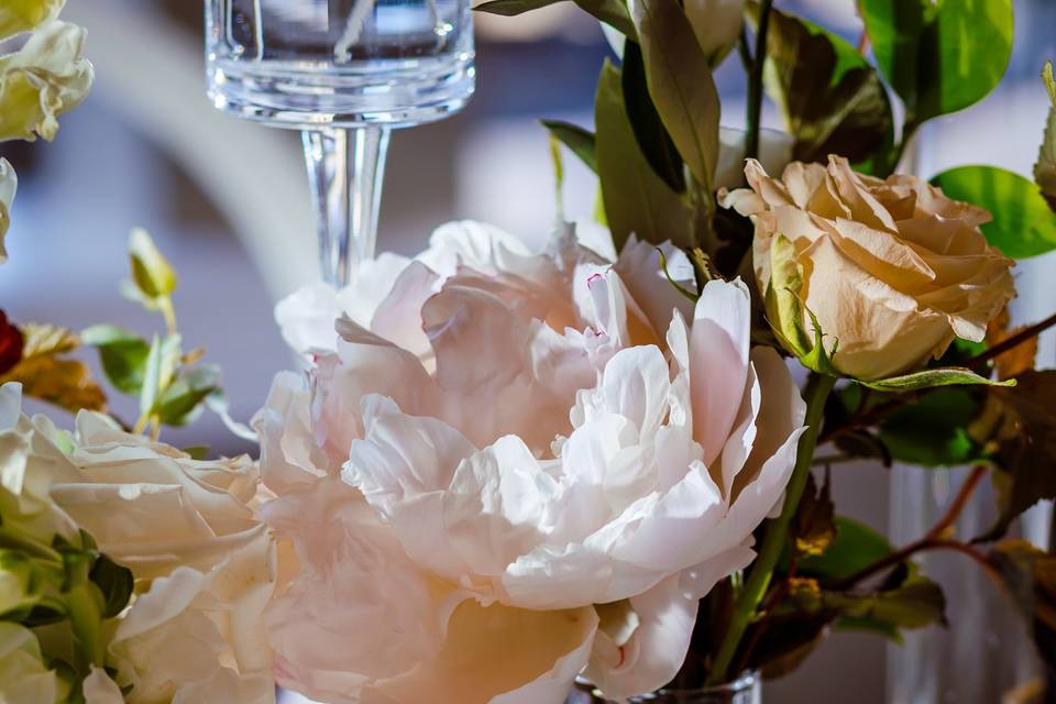 The LaSalle Chicago, Autograph Collection