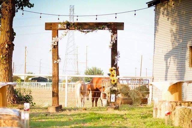 Triple C Ranch