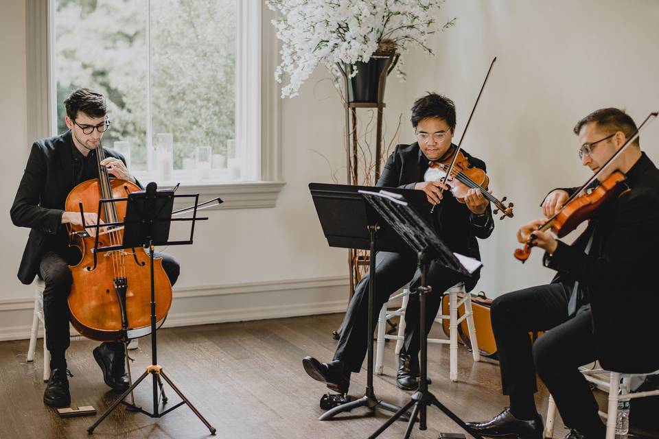 String Musicians for Ceremony
