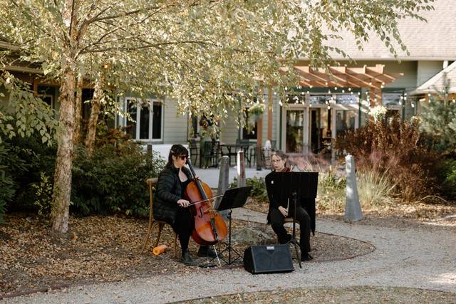 Music in the garden