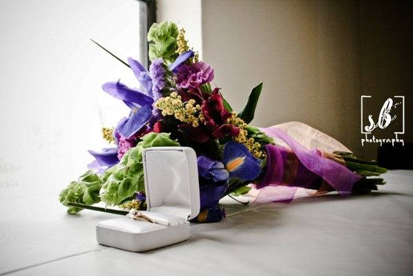 Steph Bidelspach Photography