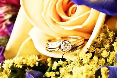 Steph Bidelspach Photography