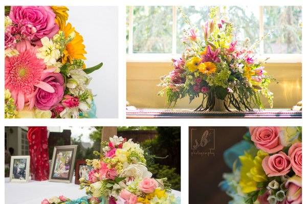 Steph Bidelspach Photography