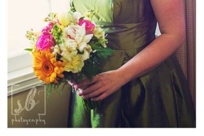 Steph Bidelspach Photography