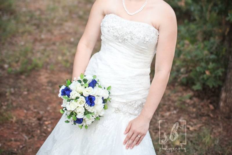 Steph Bidelspach Photography