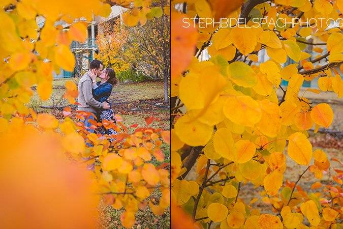 Steph Bidelspach Photography