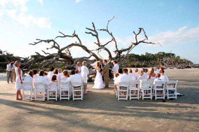 Driftwood Beach